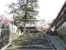 吉崎東別院参道石段から見上げた本堂