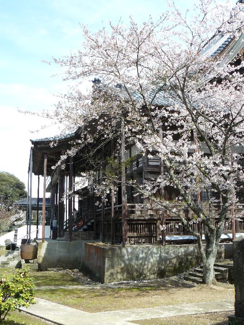 �����s�E�g�蓌�ʉ@