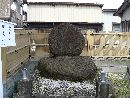吉崎寺に建立されている石碑