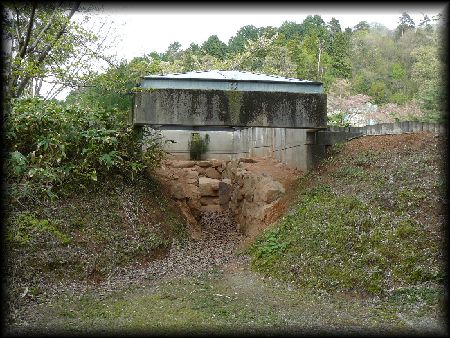 �t���R�Õ��̘I�ɂȂ����Ύ�����≓�ڂ���B�e�����摜