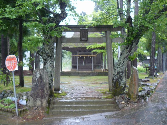 �����q��