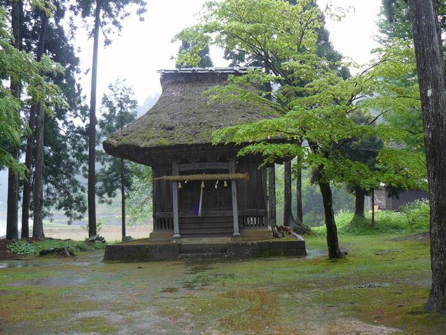 �����q��