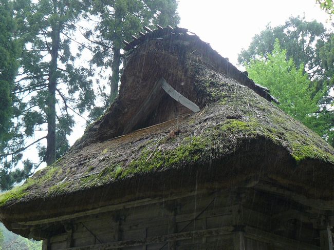 �����q��