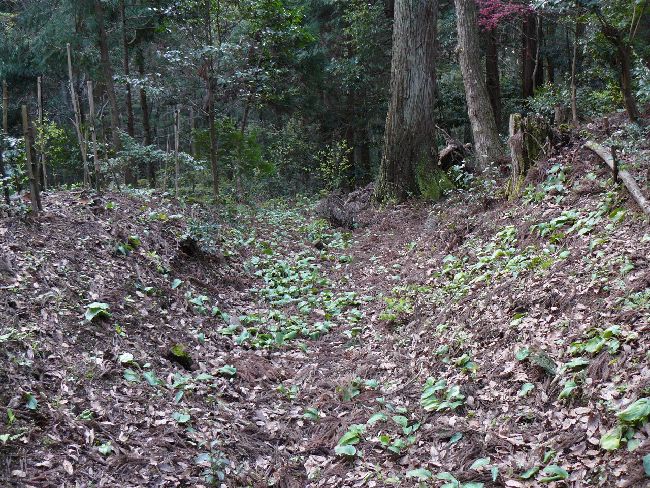 �ؑ]�`���{�w