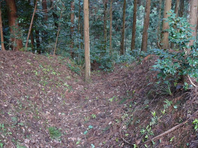 �ؑ]�`���{�w