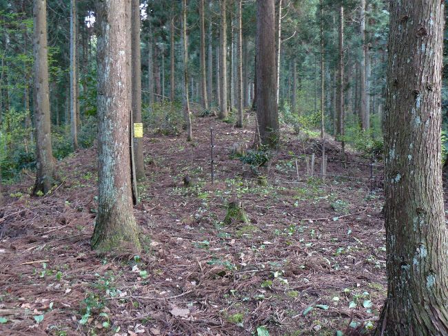 �ؑ]�`���{�w