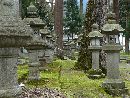 大瀧神社・岡太神社境内に設けられた石燈篭群