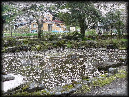 石神の湧水で満たされている大虫神社の神池