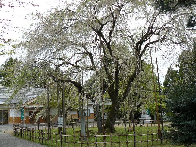 ���H�_��