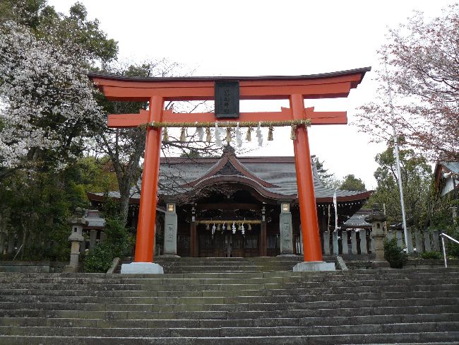 �����_��