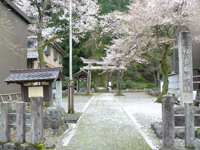 ���g��t���_��