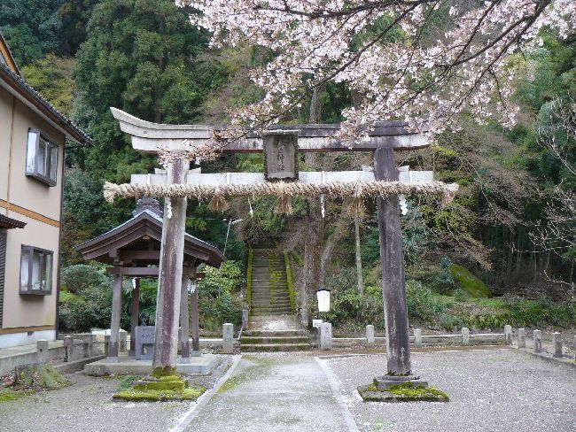 ���g��t���_��