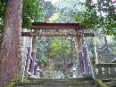安波賀春日神社参道石畳から見上げた鳥居