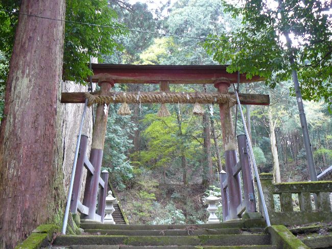 ���g��t���_��