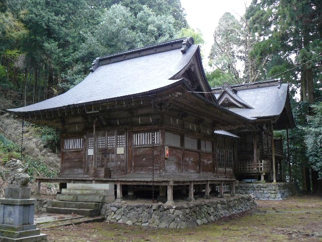 ���g��t���_��