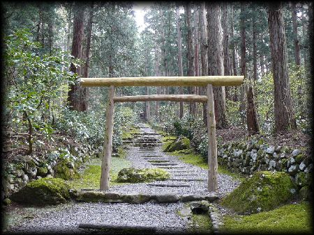 �O�V�{�̊i������������V���v���Ȓ���