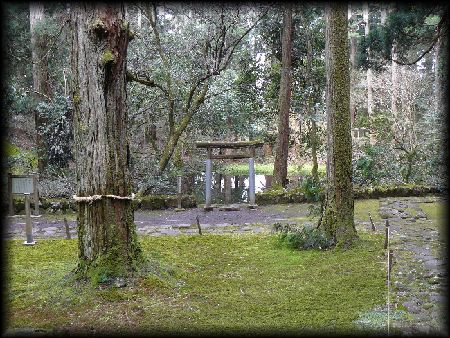 �����r�̑ۂނ��������̐�Ɍ����鏬���Ȓ���