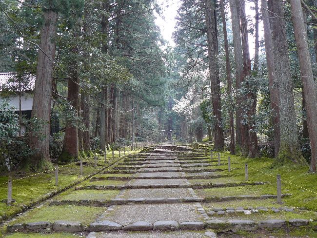 ���򎛔��R�_��