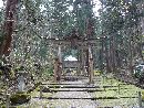 平泉寺白山神社拝殿へと続く参道と趣のある鳥居
