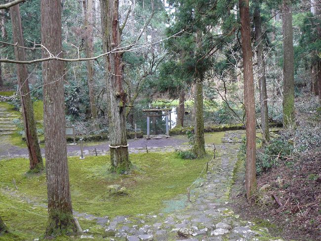 ���򎛔��R�_��