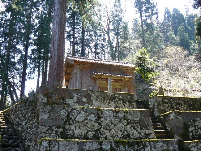 ����{�_��