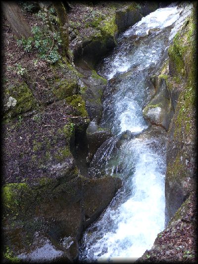 �I�E���Q���c���̃A���O���ŎB�e�����摜