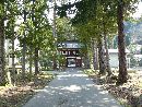須波阿須疑神社参道沿いの長い歴史が感じられる並木