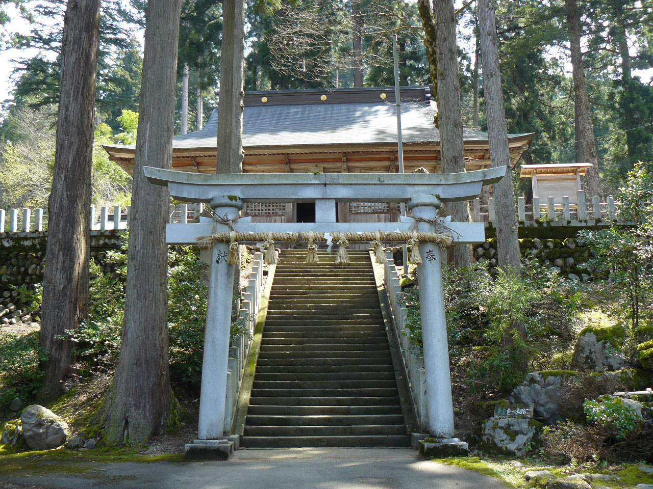 �{�g���{�^�_��