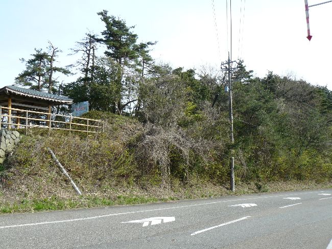 �Z�C���R�Õ��Q