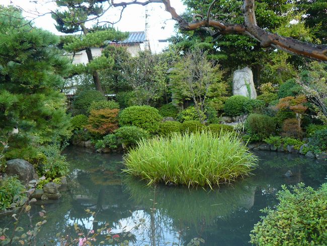 ���s�E��o��