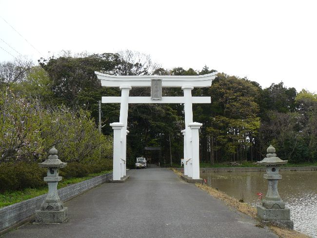 �t���_��