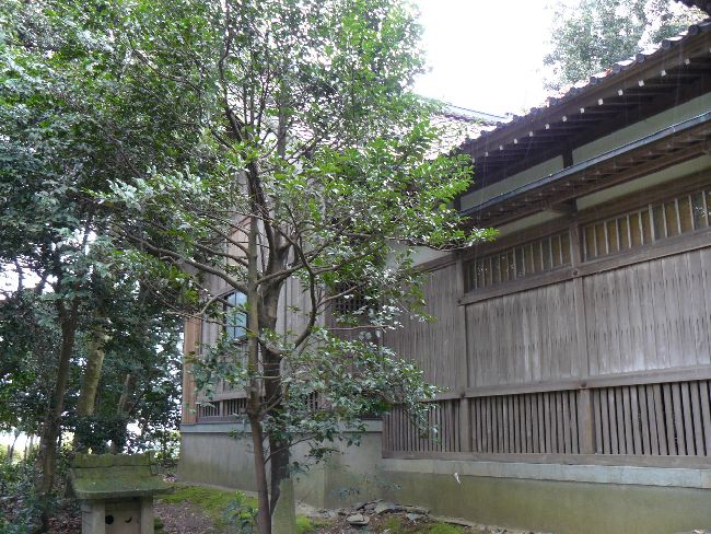 �t���_��