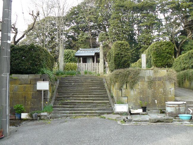 �O������