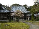 性海寺参道から見た境内に密集した苔と桜の老木