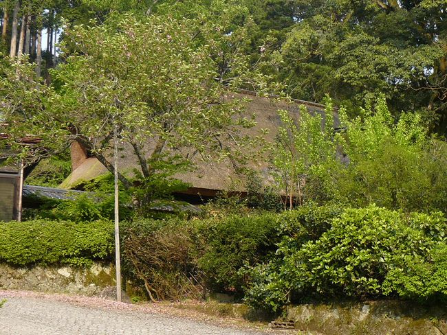 �ؐ�ƏZ��i��ẨƁj