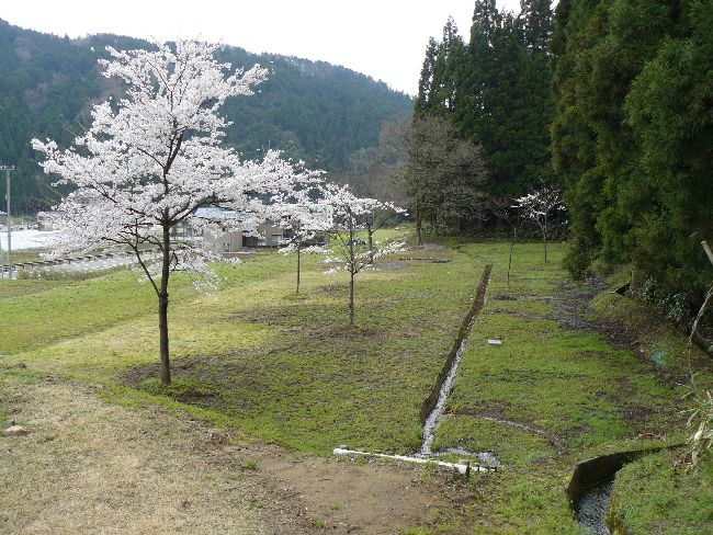 �䏊�E���{��