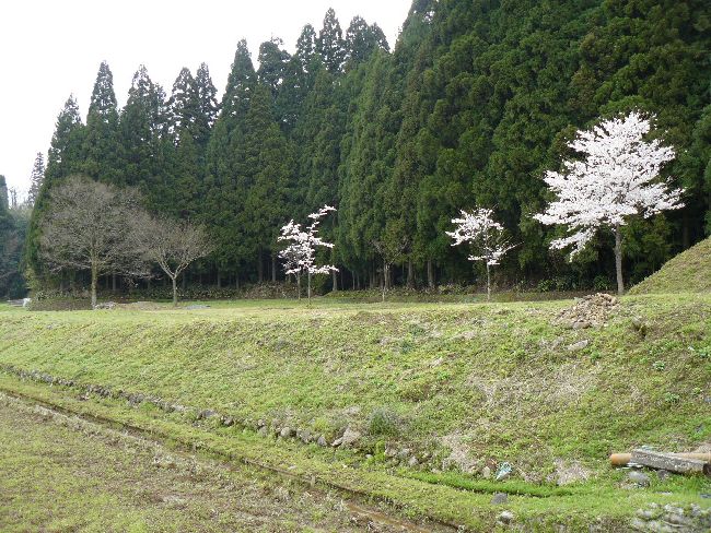 �䏊�E���{��