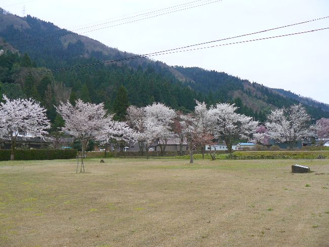 ���q�i���ِ�