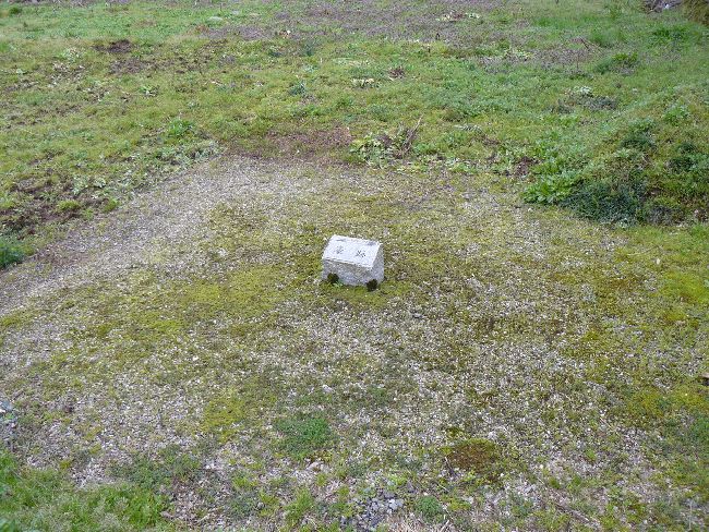 ���q�i���ِ�