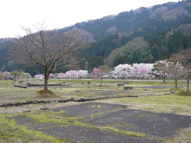 �_�����n����