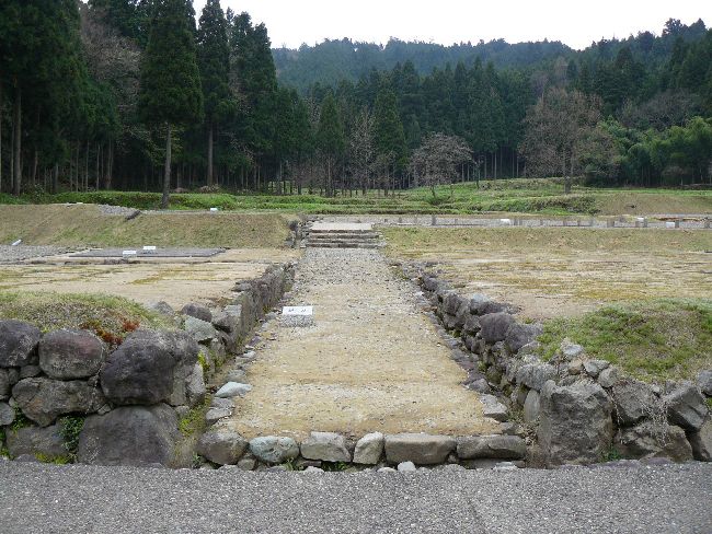 �_�����n����