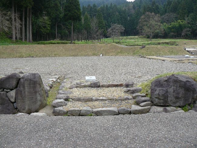 �_�����n����