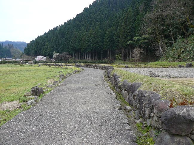 �_�����n����