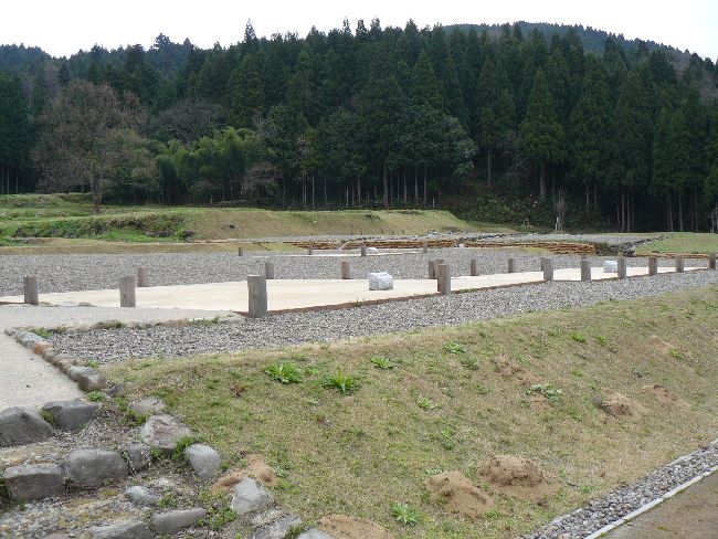 �_�����n����