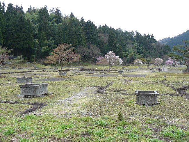 �_�����n����