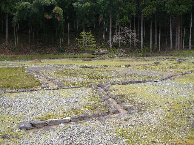 �_�����n����