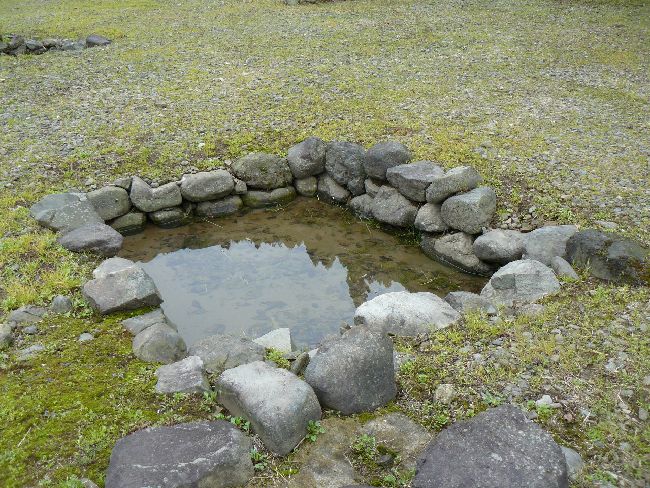 �_�����n����