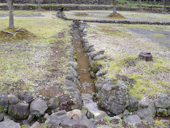 �_�����n����