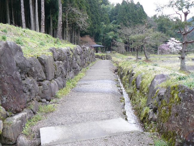 �_�����n����