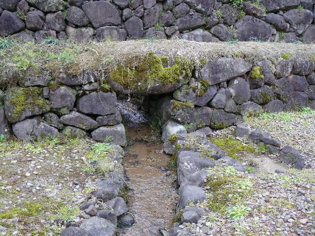 �_�����n����